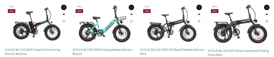 Ebike Manufacturer 2023 New Design Fashion Foldable Beach Cruiser 48V500W Snow Mobile Special Motor Electric Bike Big Tire Dirt Bike Best E Bike