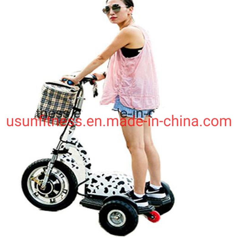 Promotion High Speed Folding Electirc Scooter Front Hub Motor Disk Brake Fat Tire Electric Trike for Leisure and Rental