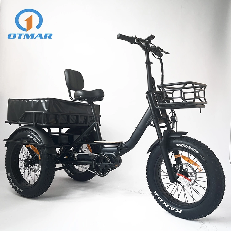 Adult China Fat Tire Dual Lithium Electric Trike Cargo Turkey E Trike for Sale 20 Inch M400 MID Motor Foldable Trike Electric with Strong Differential