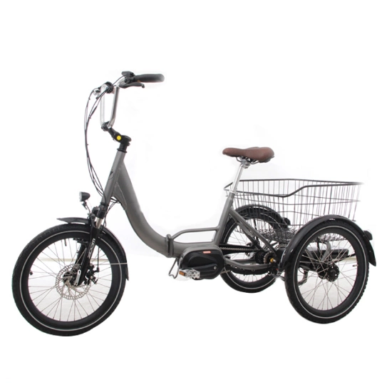 Family Used Electric Tricycle for Cargo Aluminum Foldable Frame