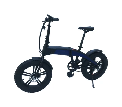 500W 20 Lnch Bicicleta de montaña eléctrica gorda de alta velocidad Hombre barato Ecoolpa Cruiser Bicicleta