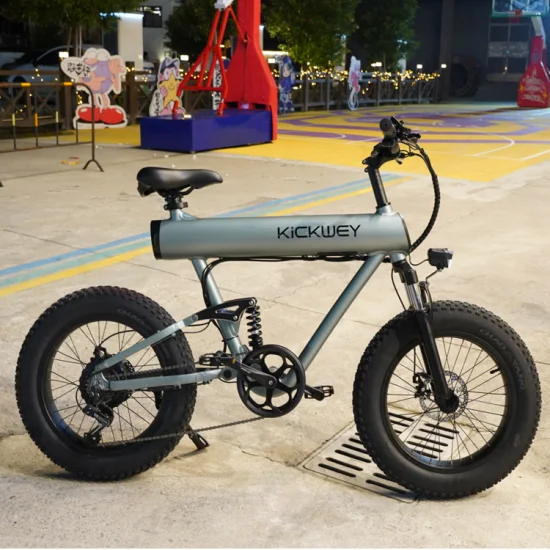 Portable Fat Tire 500W 48V Bicicleta de montaña eléctrica para adultos