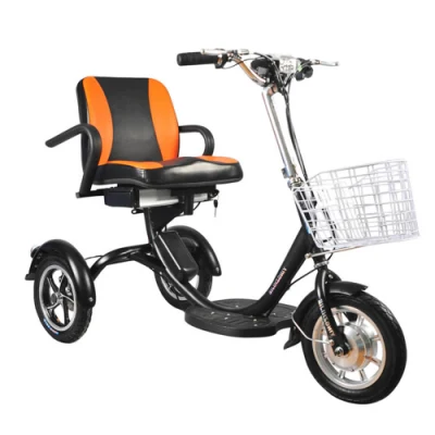 Adulto Cerrado Plegable Eléctrico 3 Ruedas Cargo Drift Trike Triciclo para ATV Adulto