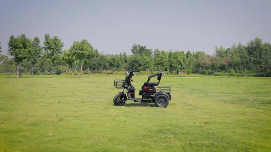 Triciclo eléctrico plegable de la fábrica 500W de China del diseño de la moda mini con la parte posterior Mirro