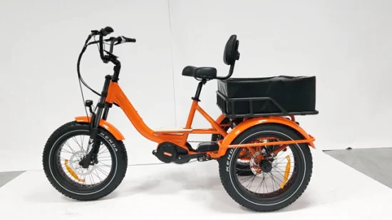 Adulto China Fat Tire Dual Lithium Electric Trike Cargo Turquía E Trike para la venta 20 pulgadas M400 MID Motor Trike eléctrico plegable con fuerte diferencial