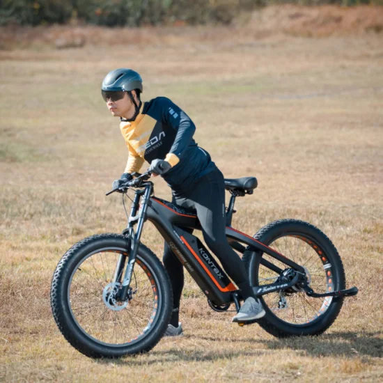 Soporte de envío de la gota Diseño elegante Fibra de carbono Ebike Fat Tire Bicicleta eléctrica Lectrique Bicicleta de montaña eléctrica MTB