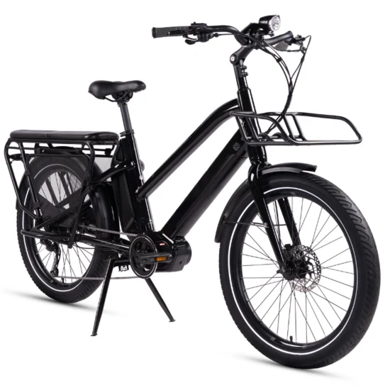 48V / 23.2ah Litio-Ion 4 - 6 horas de carga 750W Fat Tire Triciclo eléctrico plegable de carga de 3 ruedas